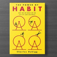 Image of THE POWER OF HABIT